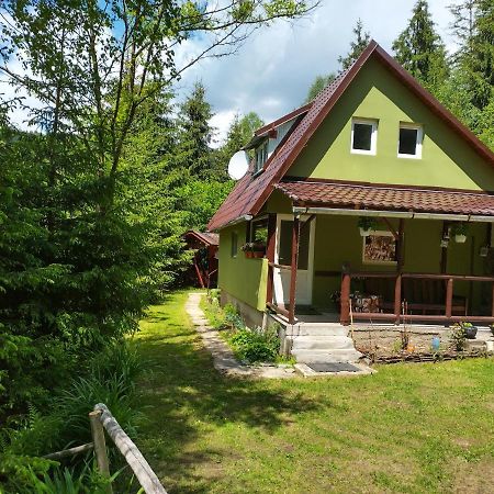 Green House Villa Gheorgheni  Exterior photo