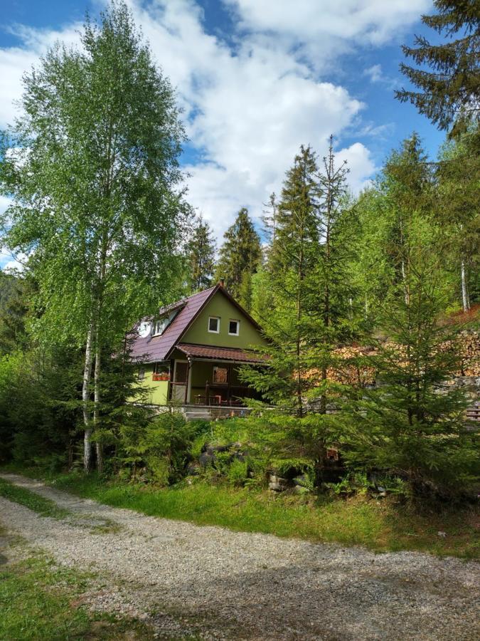 Green House Villa Gheorgheni  Exterior photo