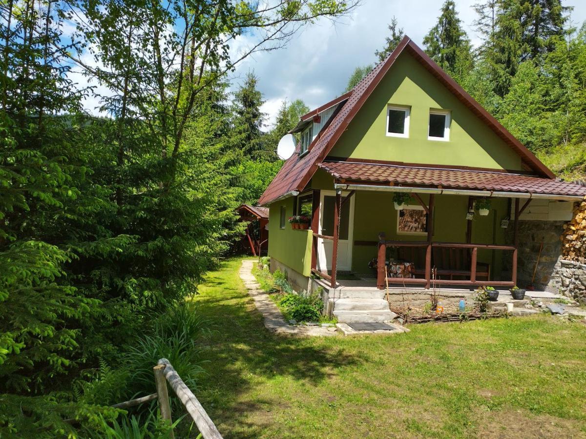 Green House Villa Gheorgheni  Exterior photo